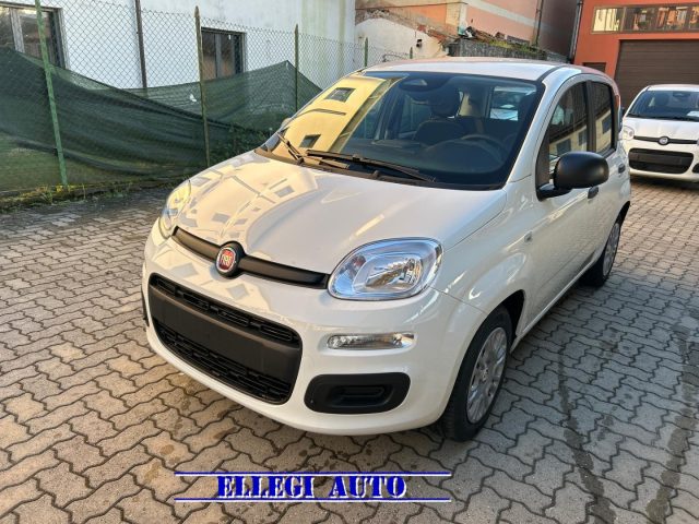 FIAT Panda Bianco extraserie pastello