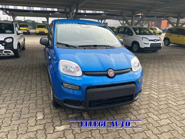 FIAT Panda BLUE ITALIA metallizzato
