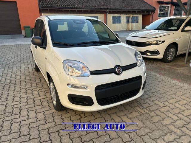 FIAT Panda Bianco extraserie pastello
