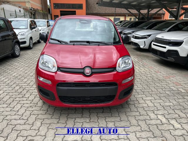 FIAT Panda Rosso pastello