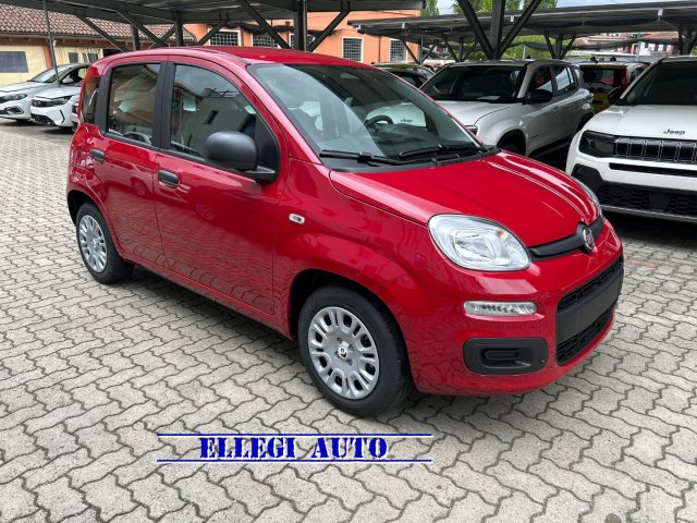 FIAT Panda Rosso pastello