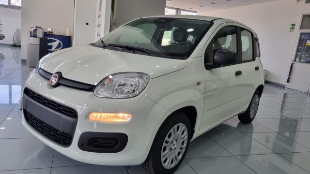 FIAT Panda Bianco pastello