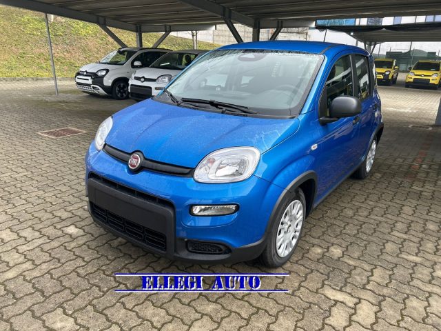 FIAT Panda BLUE ITALIA metallizzato