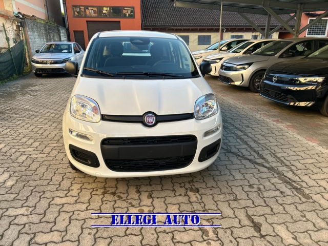 FIAT Panda Bianco extraserie pastello