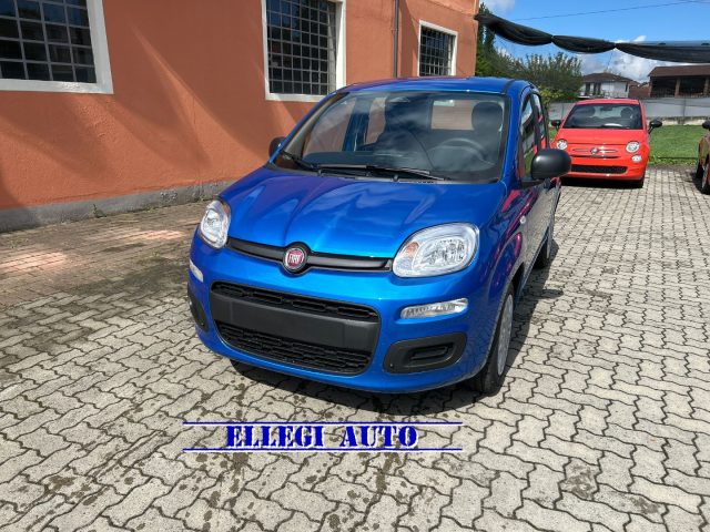 FIAT Panda BLUE ITALIA metallizzato