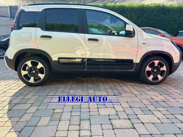 FIAT Pandina Bianco pastello