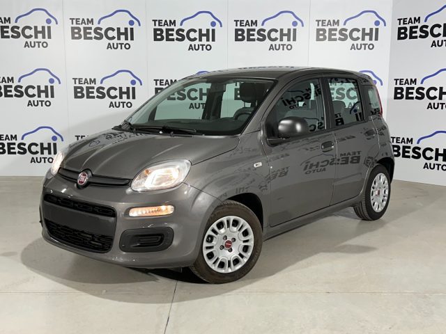 FIAT Panda Grigio pastello