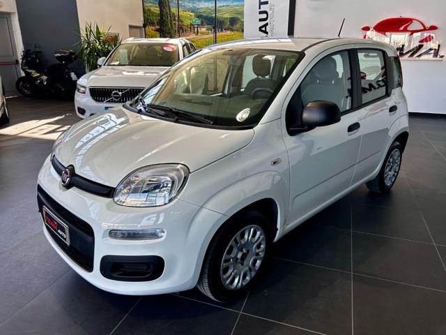 FIAT Panda Bianco pastello