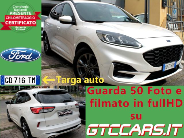 FORD Kuga Bianco perlato