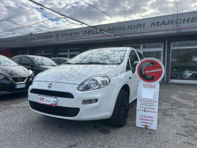 FIAT Punto Bianco pastello