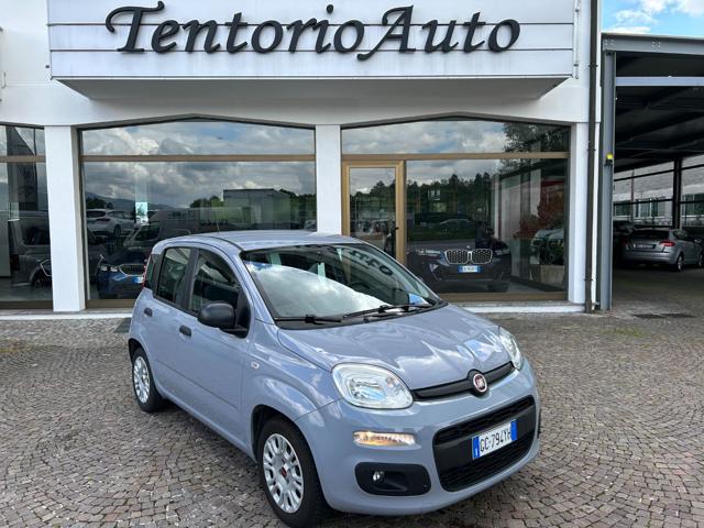 FIAT Panda Grigio pastello