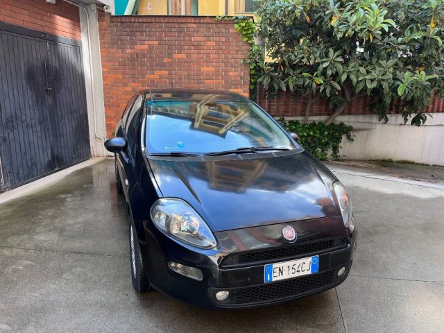 FIAT Punto Nero pastello