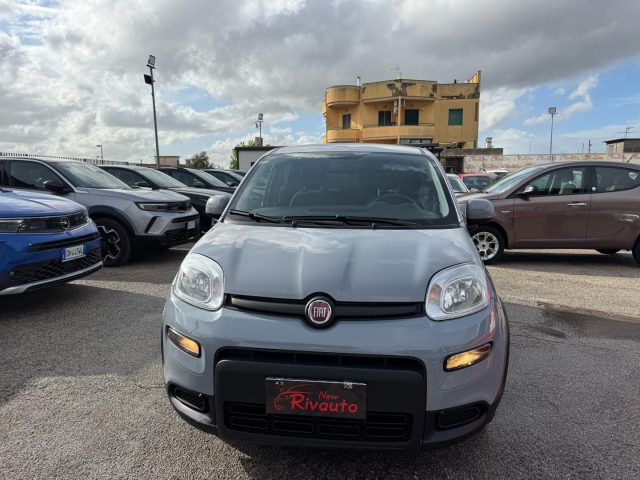 FIAT Panda Grigio moda perlato