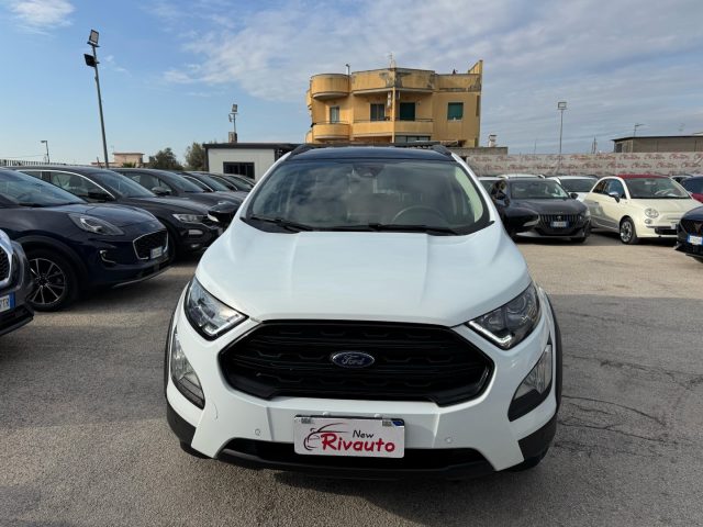 FORD EcoSport Bianco pastello