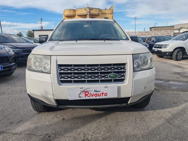 LAND ROVER Freelander Bianco perlato