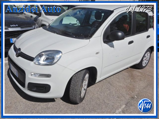FIAT Panda Bianco pastello