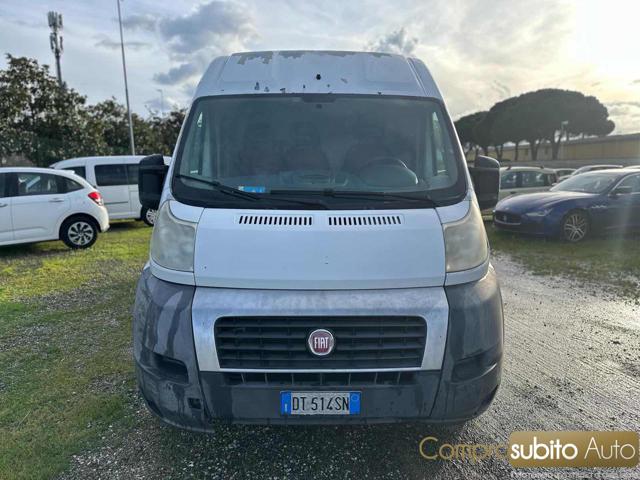FIAT Ducato Blanc Pastel