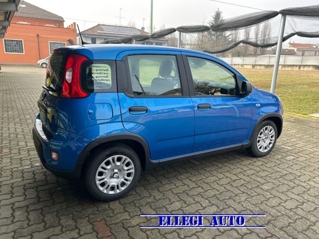 FIAT Panda BLUE ITALIA metallizzato