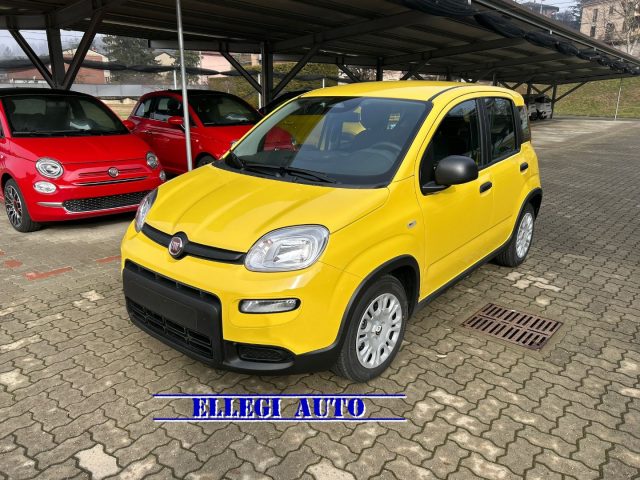 FIAT Panda Giallo pastello