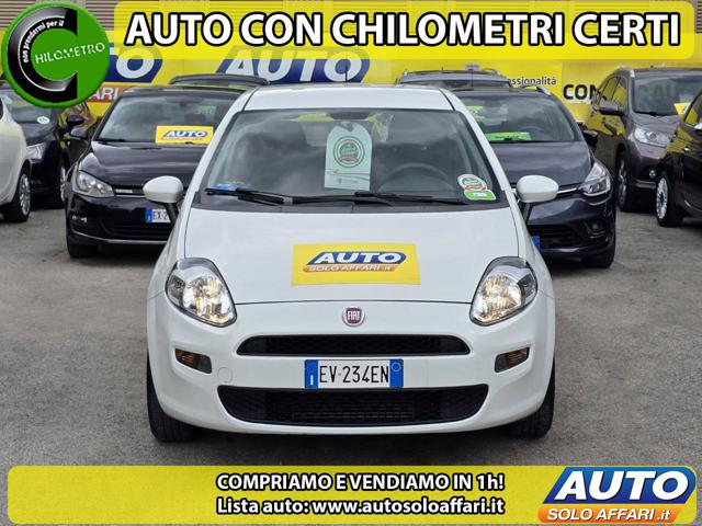 FIAT Punto Bianco pastello