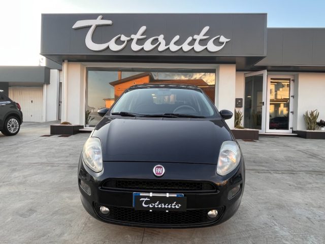 FIAT Punto Nero pastello
