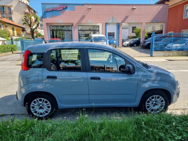 FIAT Panda Grigio pastello