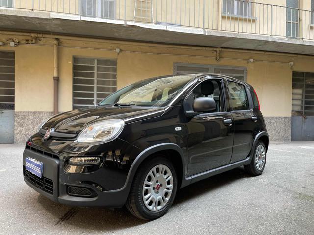 FIAT Panda Nero pastello