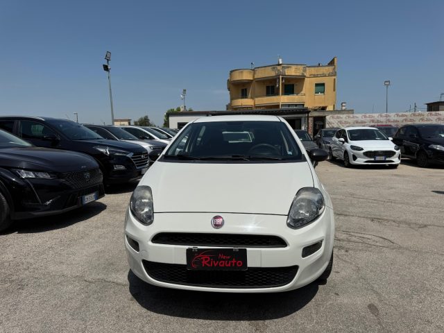 FIAT Punto Bianco pastello