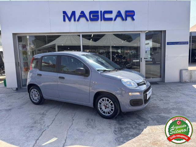 FIAT Panda Grigio pastello