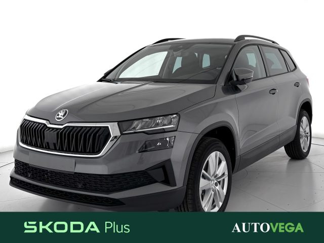 SKODA Karoq Grigio pastello