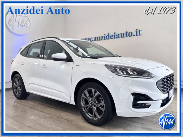 FORD Kuga Bianco pastello