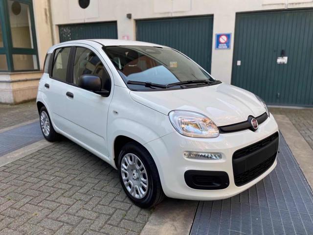FIAT Panda Bianco pastello