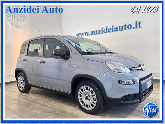 FIAT Panda Grigio pastello