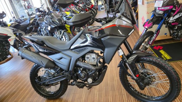 MORBIDELLI T125X Nero pastello