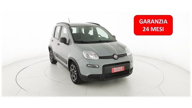 FIAT Panda Grigio pastello