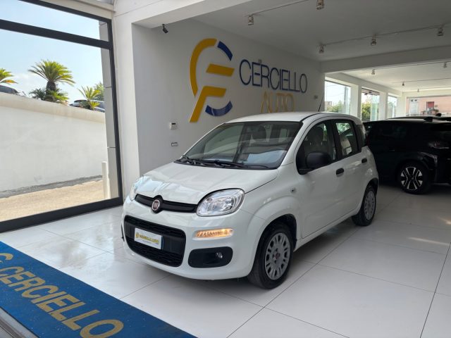 FIAT Panda Bianco metallizzato