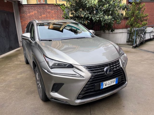 LEXUS NX 300 Grigio metallizzato
