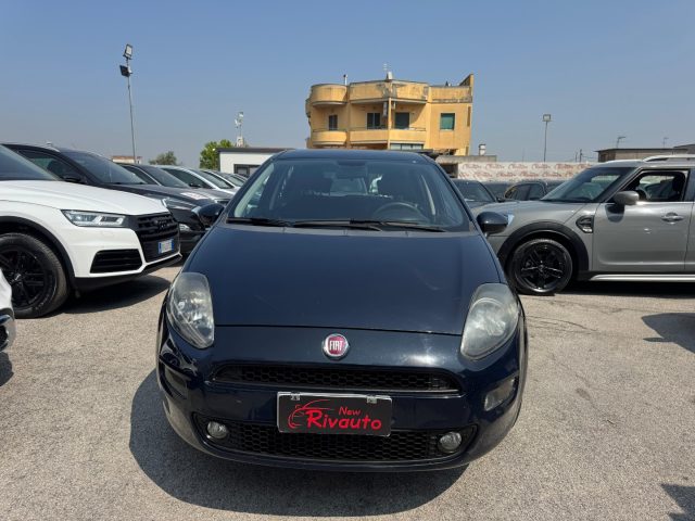 FIAT Punto Blu venezia perlato