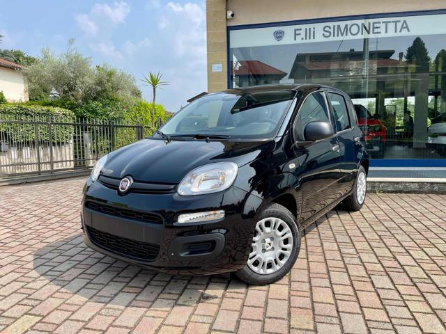 FIAT Panda Nero pastello
