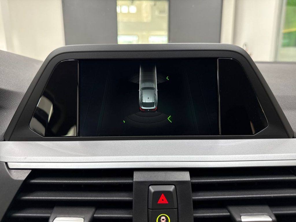 BMW X4 xDrive20d Business Advantage - 18