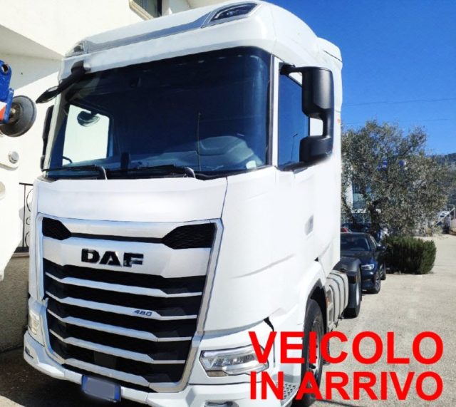 DAF  Bianco pastello