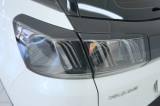 PEUGEOT 3008 29 thumb