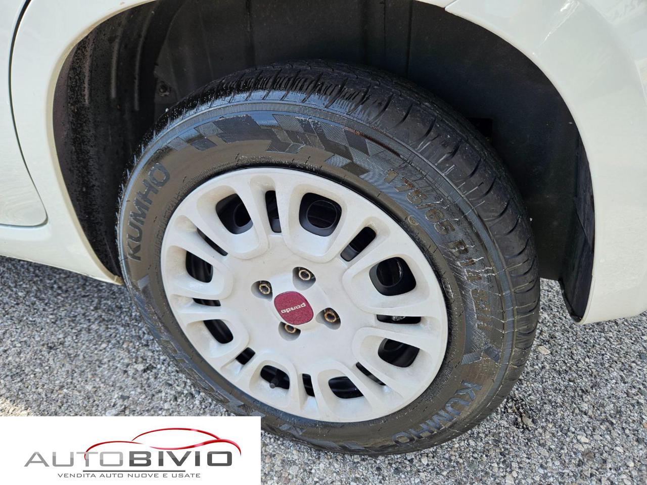 FIAT Panda 1.3 MJT S&S Easy Van 4 posti/MOTORE NUOVO! - 4