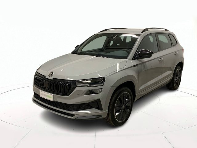SKODA Karoq Grigio pastello