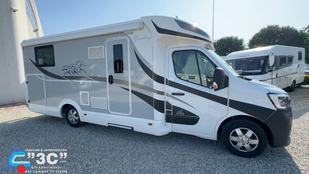 Mclouis Yearling 83