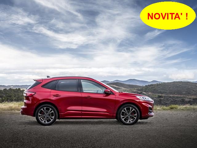 FORD Kuga Bianco pastello