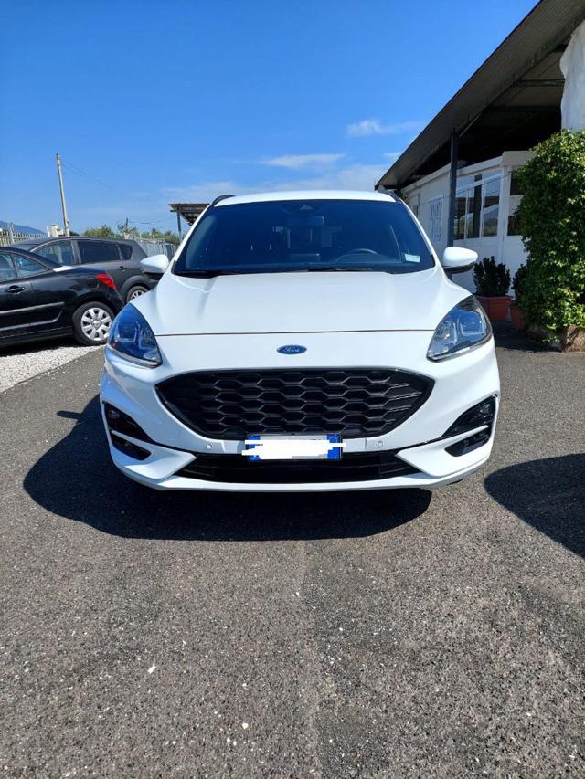 FORD Kuga Bianco pastello