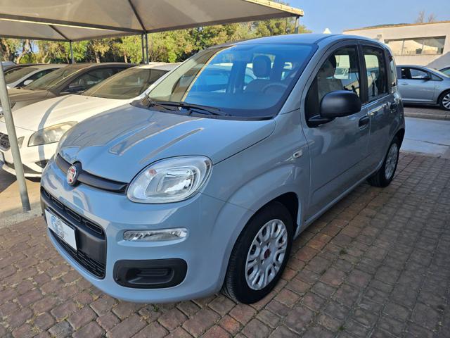 FIAT Panda Grigio pastello