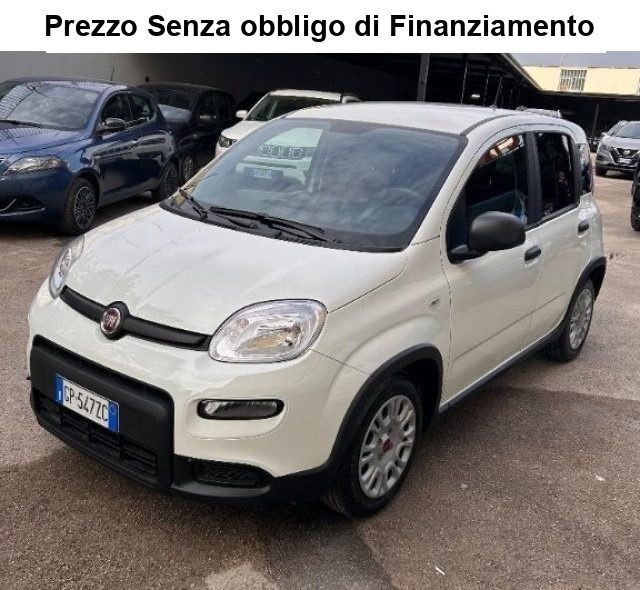 FIAT Panda Bianco pastello