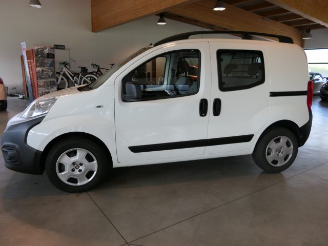 FIAT Fiorino Weiß pastell